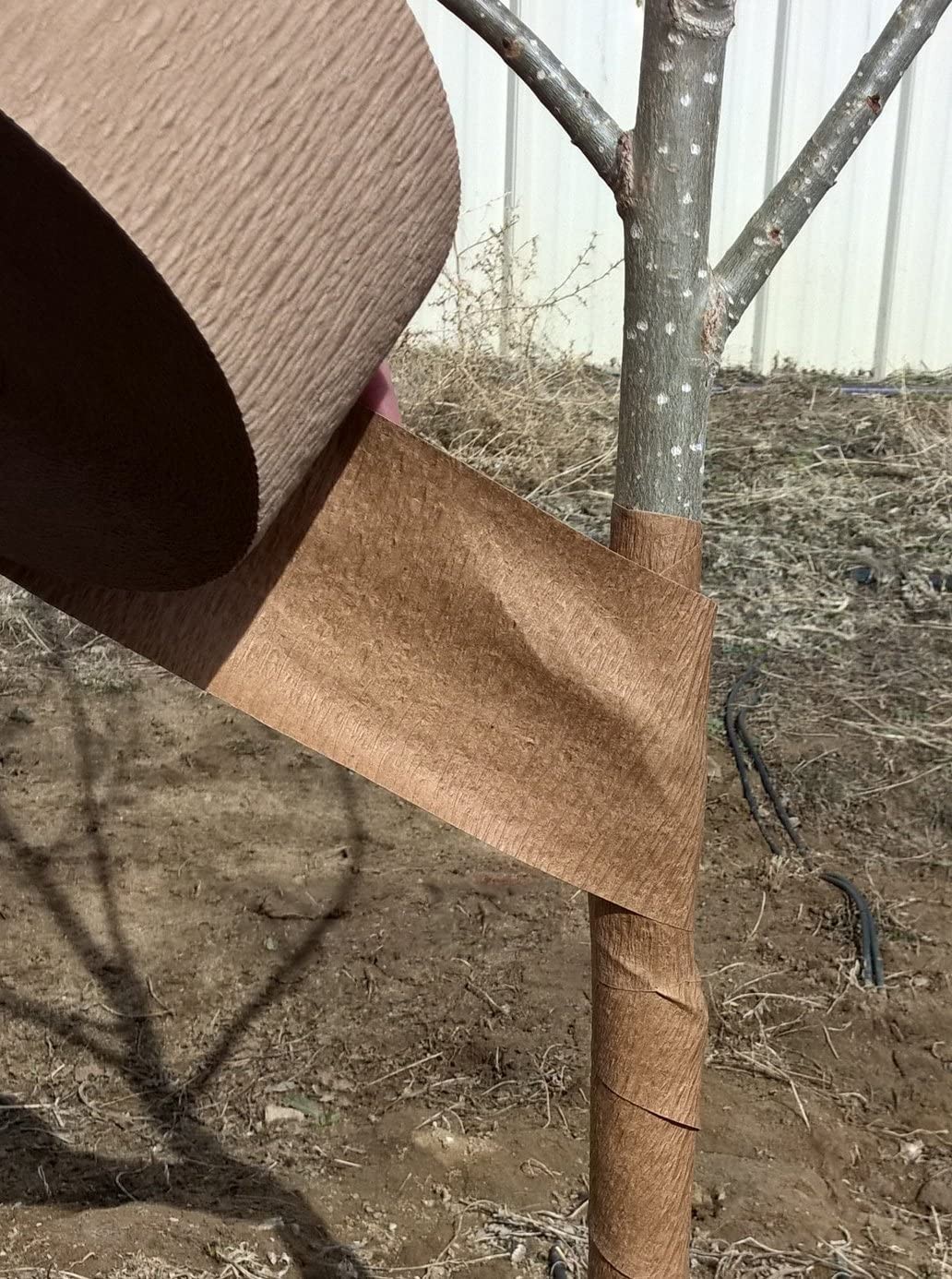 HORT Paper Tree Wrap 3" x 50  roll, Commercial Grade