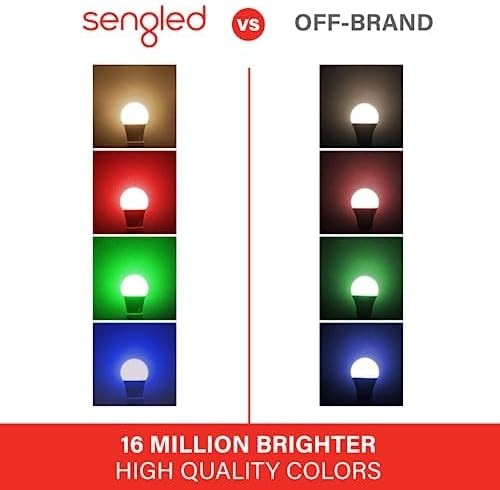 Echo Studio| Glacier White with Sengled Smart Color Bulb